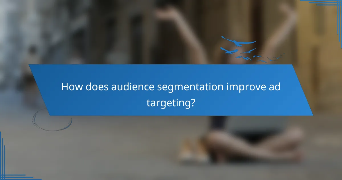 How does audience segmentation improve ad targeting?