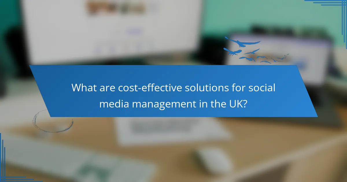What are cost-effective solutions for social media management in the UK?
