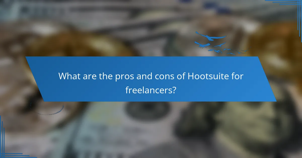 What are the pros and cons of Hootsuite for freelancers?