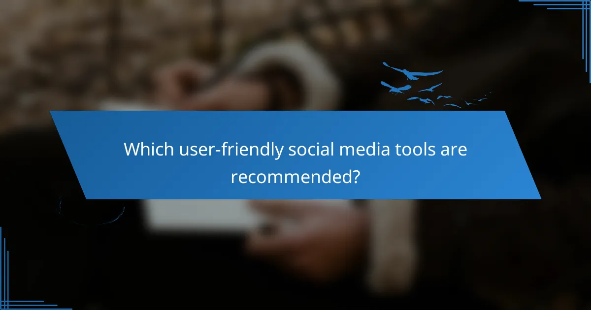 Which user-friendly social media tools are recommended?